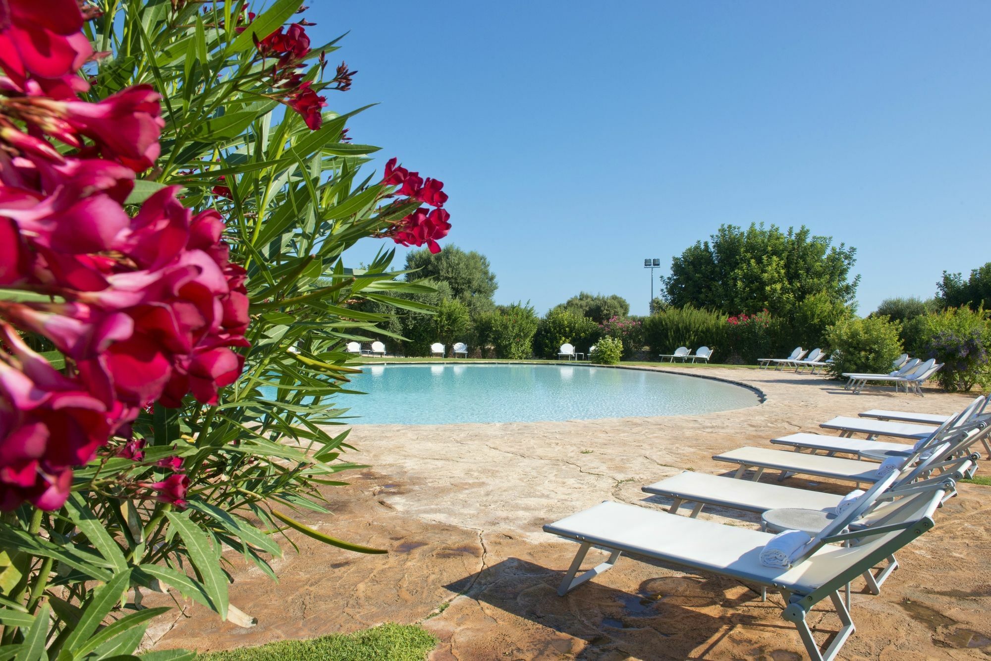 Masseria Don Luigi-Luxury Farmhouse Savelletri Zewnętrze zdjęcie