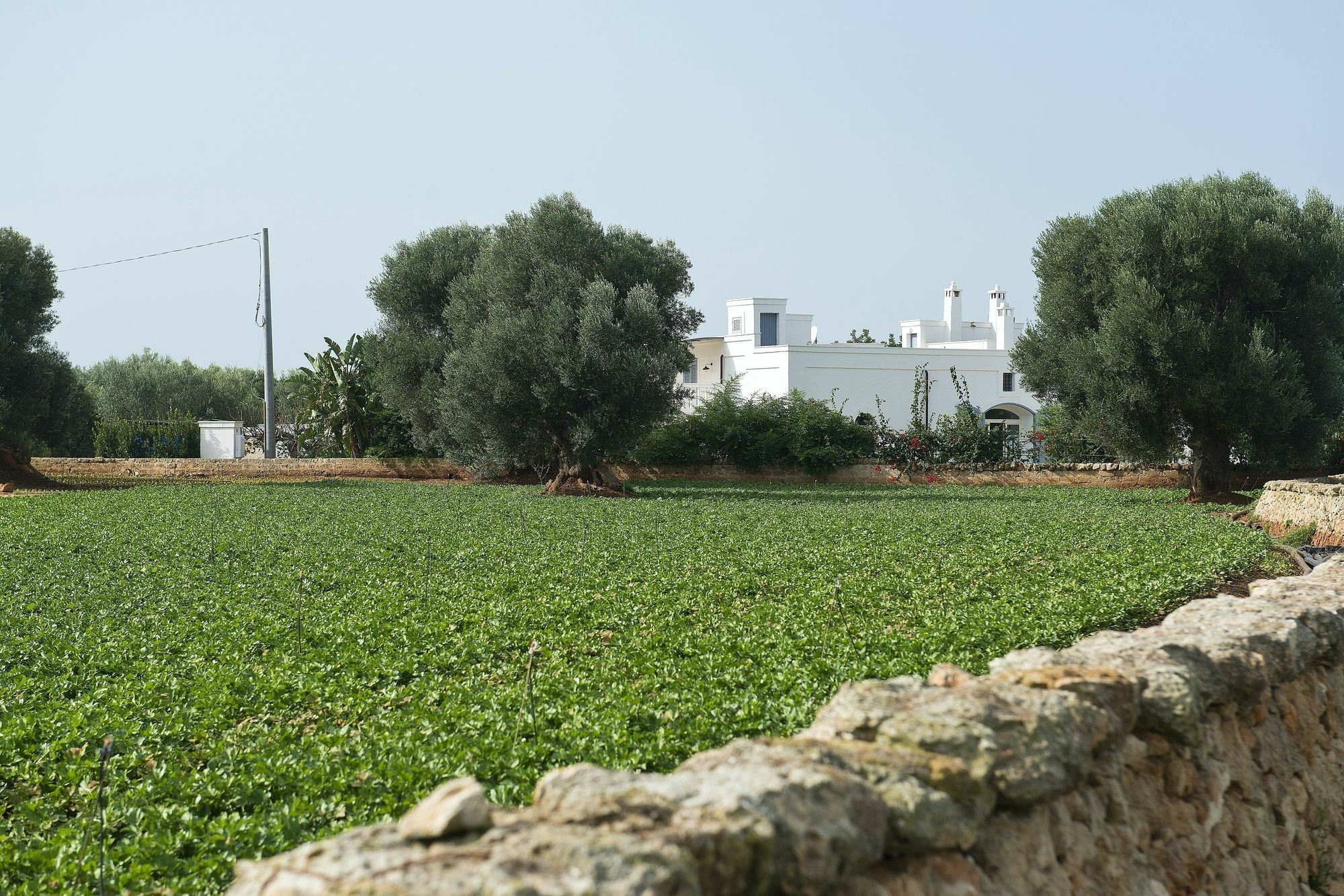Masseria Don Luigi-Luxury Farmhouse Savelletri Zewnętrze zdjęcie